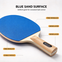 Ensemble de raquettes de tennis de table portables avec papier abrasif 600 grains, pointe légère, manche lourd, balles spéciales sans couture, planche de sable, jeu de ping-pong