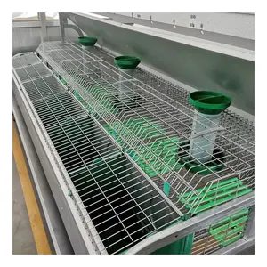 चीन फ़ैक्टरी आपूर्ति पिंजरे खरगोश सुविधाजनक गोबर सफाई यूरोपीय शैली खरगोश पिंजरे