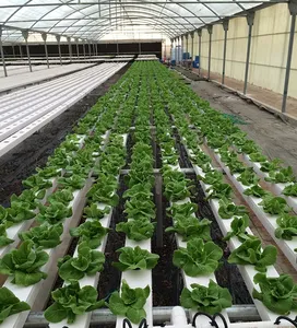 מולטירית מגדל nft מערכת מתלה תרסיס מתלה תרסיס אנכי אנכי אנכי מתלה הידרופונית - Product Image 4