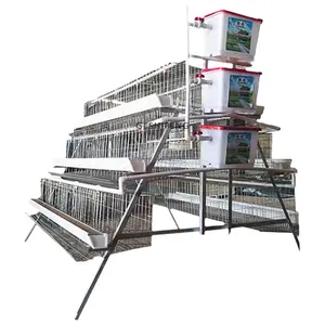 Cage de poules pondeuses d'œufs de poule Équipement d'élevage de volaille commercial Cage d'élevage de poules pondeuses automatisée