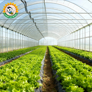 ฟิล์มพลาสติกสำหรับโรงเรือนปลูกพืชแบบอุโมงค์ ยี่ห้อ Garden Bee รุ่น Innovative Tunnel ป้องกันฝ้าและกระจายแสง - Product Image 1