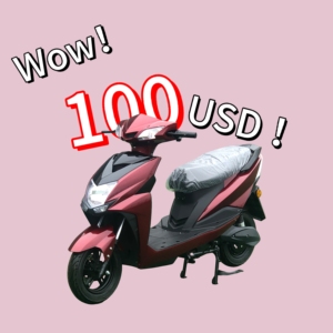 Los scooters eléctricos chinos son increíblemente baratos: motor de 1000W, precio indio - Product Image 1