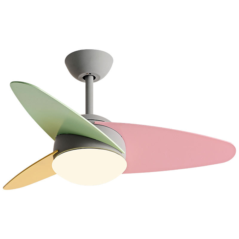 สีเทา + สี