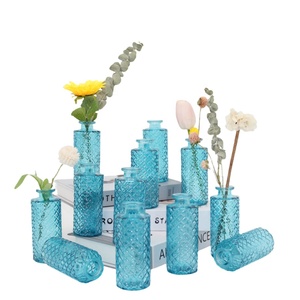 Jarrón de cristal transparente azul estilo Ins, alivio francés, decoración para el hogar, sala de estar, arreglo floral, jarrón hidropónico de escritorio - Product Image 3