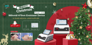 Máquina de Láser Diodo Endolaser de 1470nm y 980nm para Lifting Facial, Liposucción, Cirugía Plástica y Tratamiento de Eliminación de Bolsas de Ojos - Product Image 5