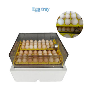 Incubateur <span class=keywords><strong>Janoel</strong></span> 96 certifié CE, capacité 100 œufs de poule, incubateurs à œufs pour 1000 œufs, usage domestique - Product Image 5