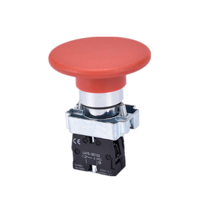 Plastic Button Switch IP65 Protection Level 10A for Integration Into a Watertight Outdoor Enclosure