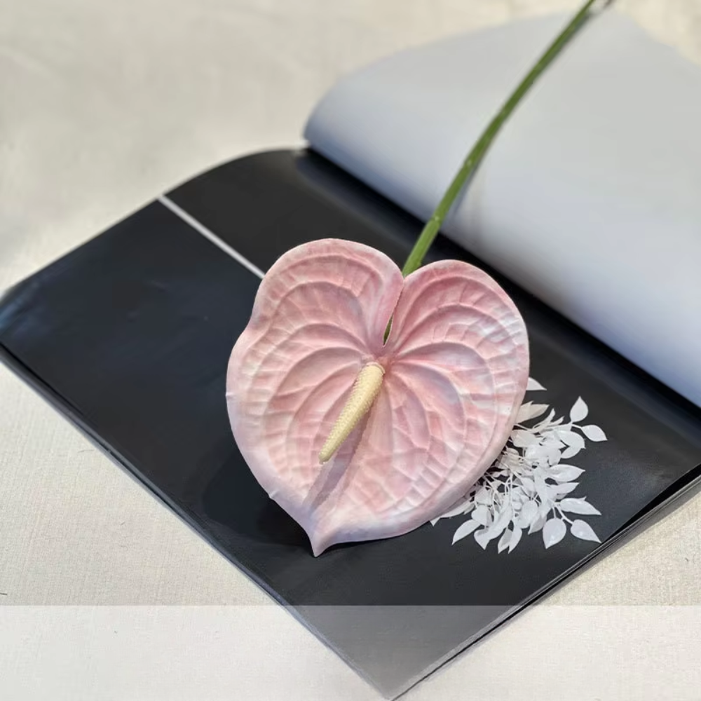 [4] ฝ่ามือสีชมพู