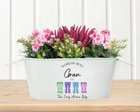 Seau de Jardinage Ovale en Fer Galvanisé avec Poignées Métalliques Couleurs Pastel pour Décoration Intérieure – Logo Personnalisé Accepté – Vente en Gros