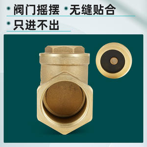 Vanne de retenue unidirectionnelle horizontale à joint souple 4/6/1 pouce en cuivre pour le contrôle de l'alimentation en eau, des milieux acides, huileux et gazeux - Product Image 2