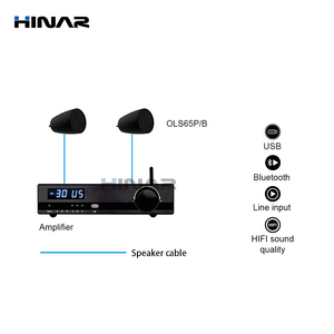2pcs Pendant <b>Speaker</b> Use in Background Music Host Smart Home Audio Wall <b>Amplifier</b> Android for Ceiling Home Audio <b>Amplifier</b> - Product Image 1