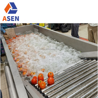 Automatische fruit- en groentewasmachine industriële tomaten komkommer gember reinigings- sorteer- en verwerkingslijn fruitwasser