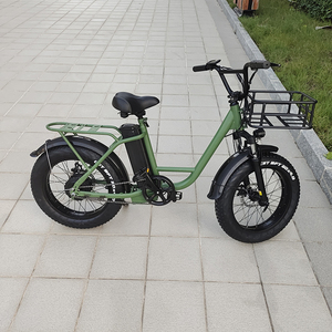 Pneu électrique Carge E Bike 500w moteur 20x4 pouces gros pneu électrique adulte Cargo vélo électrique - Product Image 5