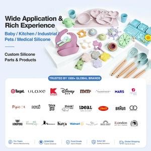Productos de Silicona Personalizados, Servicio de Diseño de Moldeo por Inyección OEM ODM, Fabricación Integral para Bebés, Mascotas y Uso Médico - Product Image 5