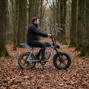Moto électrique silencieuse avec éclairage LED, vélo électrique naturel pour l'observation des oiseaux - Product Image 5
