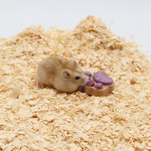 DongnaiPETS Flocons de bois de pin 100% naturels écologiques, sans poussière, hautement absorbants, contrôle supplémentaire des odeurs, en forme de bande, 1kg pour petits animaux - Product Image 3