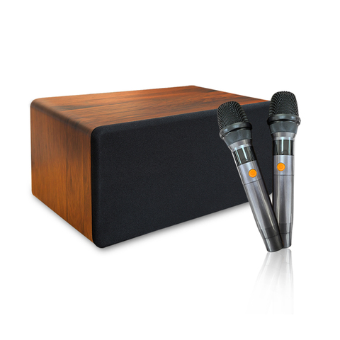 Wireless Loud Hailer Pick #13 (479731)