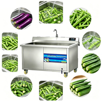 Automatische groentereinigingsmachine voor schoolcafeterias, 80-500 kg per uur, voldoet aan de USDA voedingsnormen