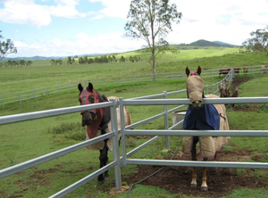 Valla de Acero Galvanizado para Ganado, Ecológica y Fácil de Montar, <span class=keywords><strong>Corral</strong></span> para Exteriores con Paneles para Ovejas (10 pies de altura) - Product Image 6