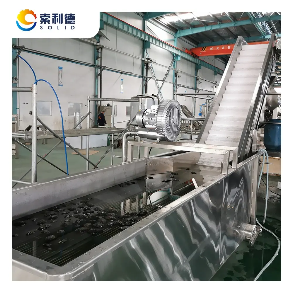 CPAO-1000 1000KG/H Extra Virgin Avocado Oil Cold Press Machine By Centrifuge Extraction Method