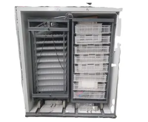 Full automatic 9856 chicken eggs incubator with incubator egg turner motor