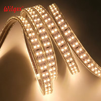 Bande LED PVC étanche IP65 de 40m, 7x17mm, double rangée de perles, ruban flexible, dimmable, basse tension, sûr et économe en énergie