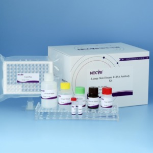 울퉁불퉁 한 피부병 ELISA 키트 | 96T 소 LSDV 항체 검사 | 소에 대한 수의학 진단 키트 - Product Image 3