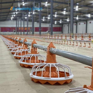 Chica de <span class=keywords><strong>precio</strong></span> bajo de alta calidad de aves de corral automática sistema de alimentación de pollo pan alimentador - Product Image 2