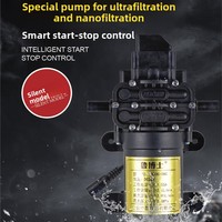 Pompe à diaphragme en cuivre coulé dédiée à l'ultrafiltration et à la nanofiltration, auto-amorçante, à démarrage et arrêt automatiques, Dr. Lu