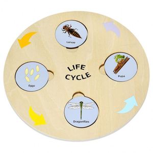Homeschool Supplies Activities Toy Children Ladybug Butterfly Bee Insect Life Cycle <b>Puzzle</b> Sets - Product Image 4