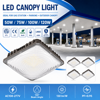 Plafonnier LED étanche IP65 50W-120W 130lm/W 100-277V avec boîtier en aluminium moulé sous pression pour station-service et parking