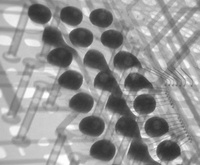 Appareils de radiographie bon marché, radiographie BGA