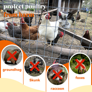 12 مقياس لفة شبكية مربعة قفص الدواجن أرنب قفص حديقة سياج الحيوان - Product Image 2