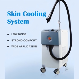 Professional Standing Skin Cooler Plastic Reduce Pain Clinic Use Cooling Device Non-Invasive Treatment - Product Image 5