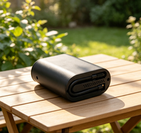 High Quality Portable Tire Inflator With Quick Inflate