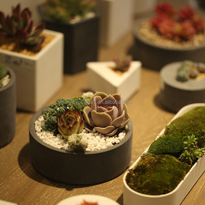 <span class=keywords><strong>Pot</strong></span> <span class=keywords><strong>de</strong></span> table en ciment mini rond, style industriel, texture originale, solide, épaissi, avec tapis antidérapant, respirant et respectueux des racines - Product Image 6