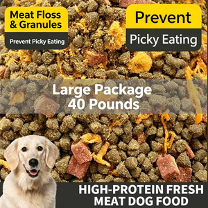 Nourriture sèche pour chiens OEM personnalisée, riche en protéines, pour toutes les races, universelle pour chiots, adultes, seniors, toutes les étapes de vie, santé de la <span class=keywords><strong>peau</strong></span> et du pelage - Product Image 4