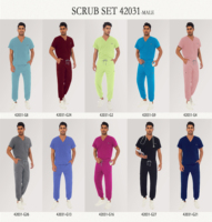 2026 Niaahinn Grossiste-Distributeur Ensembles d'uniformes médicaux chirurgicaux : Hauts à col en V avec une poche et Pantalons jogger multi-poches