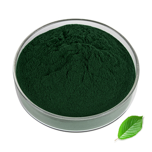 Bubuk Kompleks Natrium Magnesium Klorofilin Tembaga Kelas Makanan OEM Kustom Grosir Ekstrak Herbal Suplemen Drum - Product Image 1