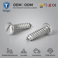 DIN7971 Acier inoxydable 304 316 Vis autotaraudeuse à tête cylindrique fendue