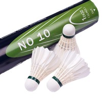 Badminton léger, personnalisé, durable, entraînement, classe, balle en plumes de canard, tête en plastique mousse, 12 pièces, badminton amateur