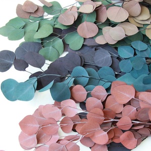 Bouquet de feuilles d'<span class=keywords><strong>eucalyptus</strong></span> séchés, 10 pièces, plantes, fleurs brunes, tige unique, pour décoration de mariage - Product Image 1