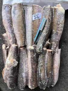 价格便宜优质冷冻哈克鱼HGT哈克 - Product Image 4