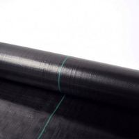 Paillis plastique noir biodégradable perméable à l'eau, tapis de contrôle des mauvaises herbes agricoles