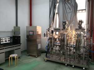 Cell culture 10L 20L 30L 50L bioreactors mammalian cell fermenters ADC fermentation equipment GMP standard with CIP SIP - Product Image 2