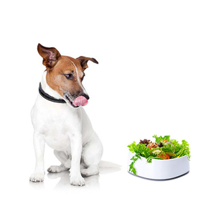 Custom Classic Plastic Stainless Steel Cuenco Para Mascota LCD Display Smart Weighing Dog <b>Cat</b> Pet Slow <b>Feeder</b> Food Bowl - Product Image 6