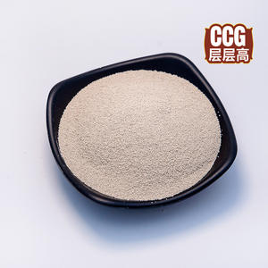 <span class=keywords><strong>Levure</strong></span> sèche instantanée de boulangerie - Product Image 6