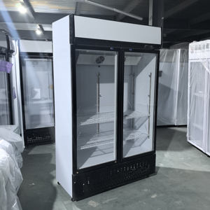 Refrigerador Congelador Vertical de Exhibición Comercial para Bebidas con Garantía de 5 Años y Entrega a Domicilio Global - Product Image 3