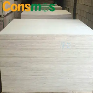 Shandong Consmos produttore di legno compensato di prima classe di colore originale EV pioppo impiallacciatura di legno compensato con E2 / E1/ E0 colla