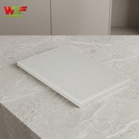 Großflächige Umweltfreundliche Antibakterielle Schallabsorbierende Perforierte Aluminium-Wabenakustikplatte für Universitäts-Vorträge